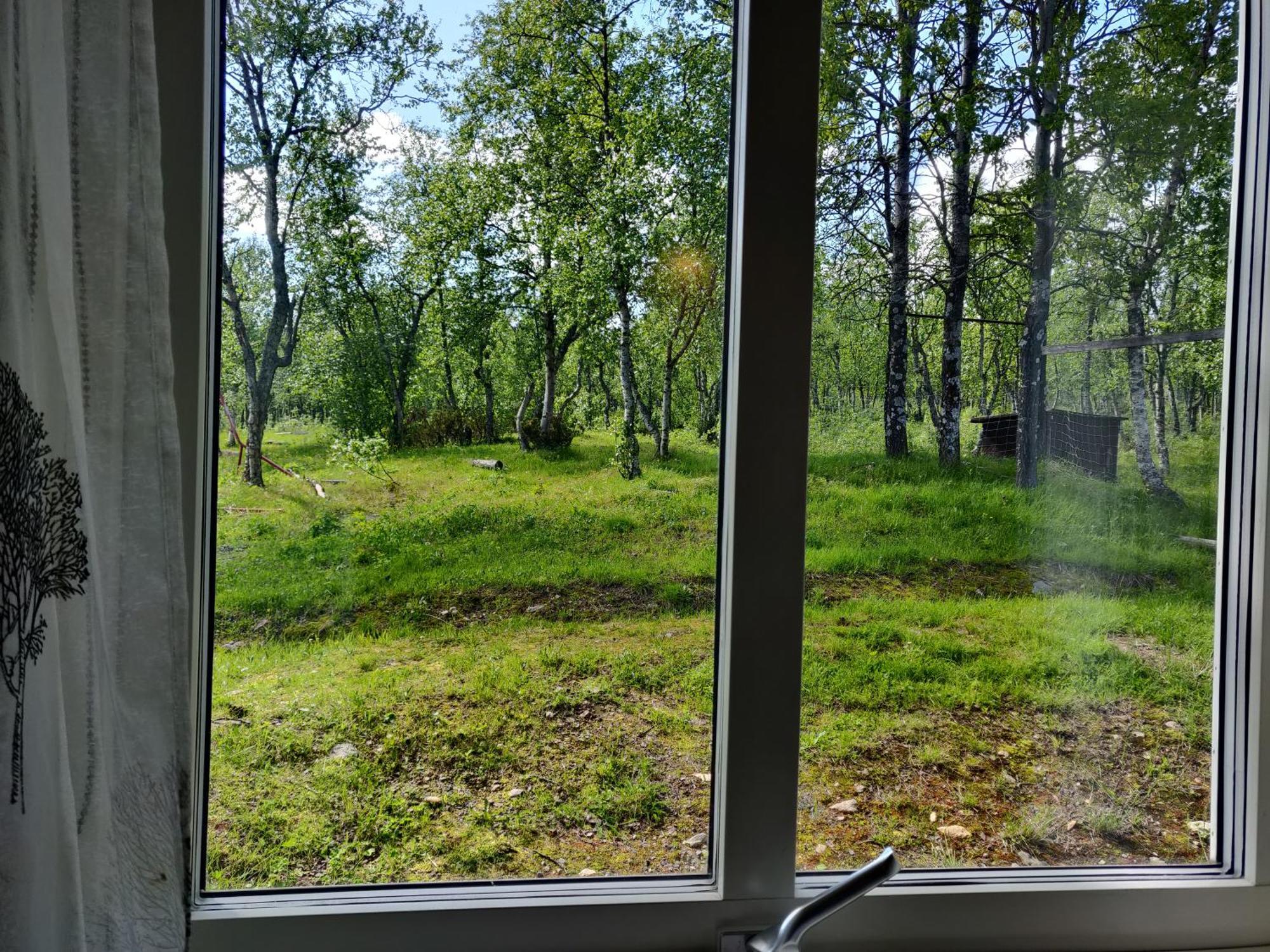 Husky Lodge Hostel Kiruna Cameră foto